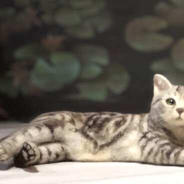 アメリカンショートヘア