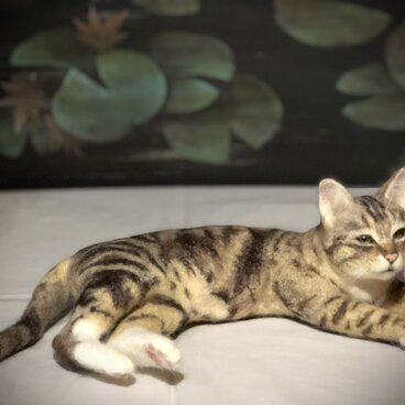 たぬこ先生のオーダーページです。