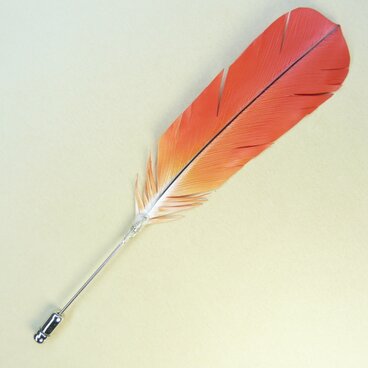 粘土の羽根飾り＿ヨウム＿ハットピン＿大