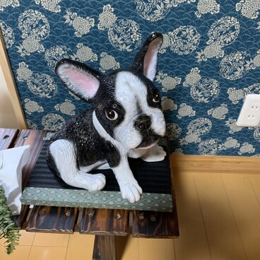 FRP製　　フレンチブルドッグ