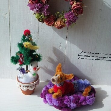 陽だまりコーギちゃんセット♪