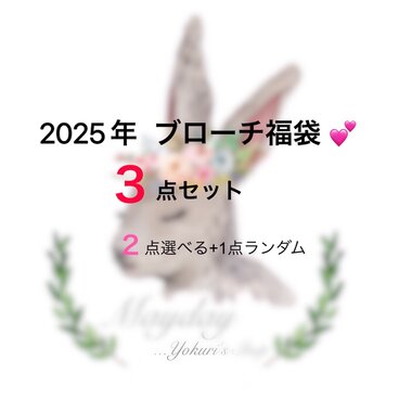 ✨『2025年選べるブローチの福袋３点セット』（２点ご指定できる＋1点ランダム）