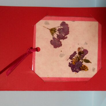 身近な植物のしおり＆しおりを使ったグリーティングカード