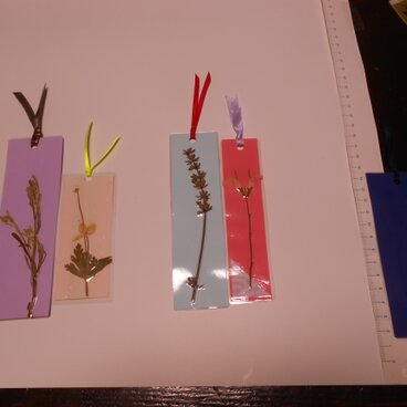 身近な植物のしおり＆しおりを使ったグリーティングカード