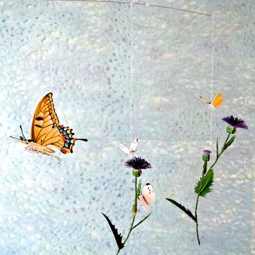 アザミと蝶たち