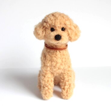 小さいけれどトイプードル(アプリコット)