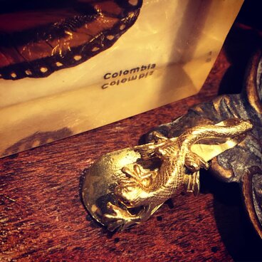 SOLID DESIGN SDr-140 生き物図鑑 爬虫類タイクリップ 【トカゲ】