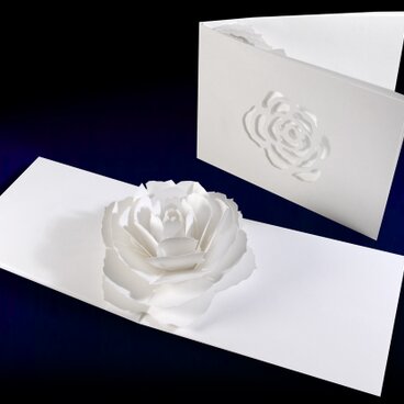 花のポップアップグリーティングカード〈ローズ〉　forバースデー・ウェディング・母の日・卒業・お祝い・アニバーサリー