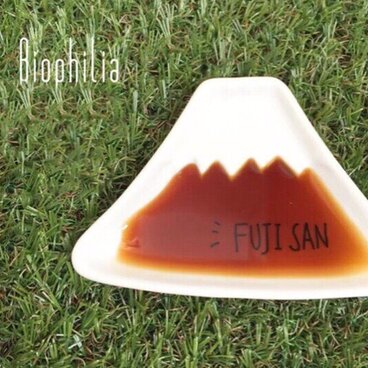 （限定セール）FUJI SAN の小皿(プチギフトにも)