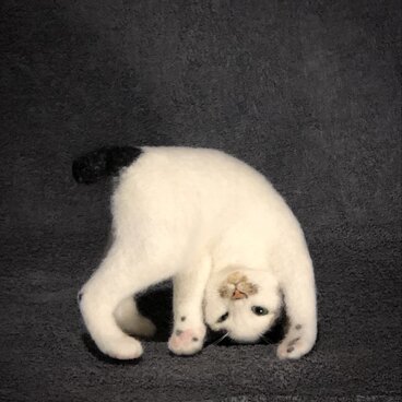 転回 - 白黒ねこ