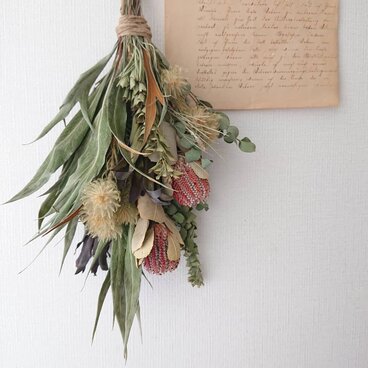 バンクシアココシネアのスワッグ