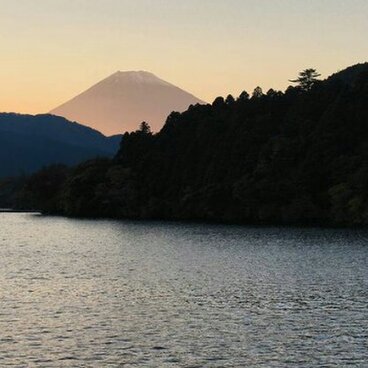 木の生活2018/2019