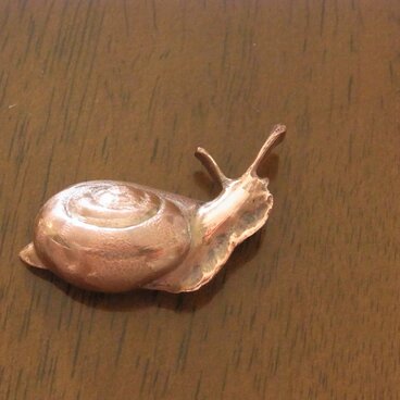 セミオーダ【かたつむり】