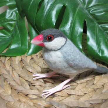 羊毛フェルト　シルバー文鳥　