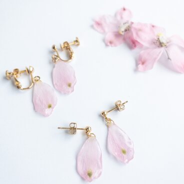 デルフィニウム　ピアス（イヤリング）✳︎生花のアクセサリー