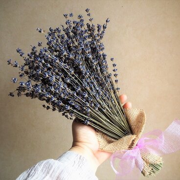 北海道産シックなラベンダースワッグ（小）-栽培期間中農薬を使わず育てました‐