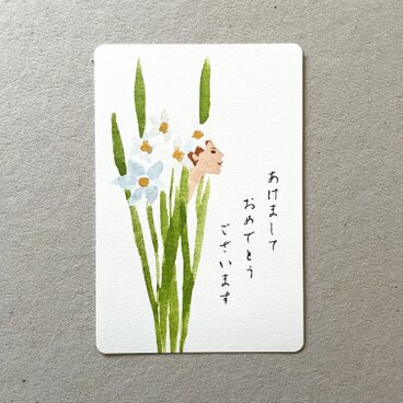 水仙の年賀状 あけましておめでとう 5枚組