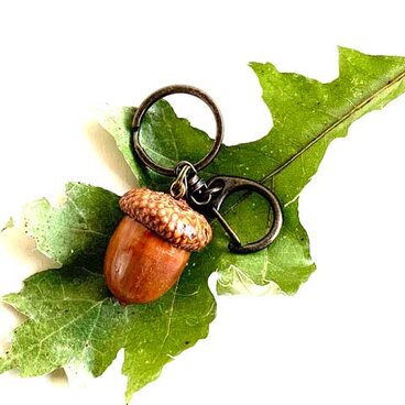 どんぐりのキーホルダー　XL  ー八ヶ岳の森からー