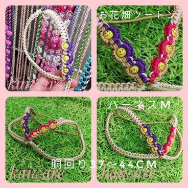 パラコードハーネスM お花畑　チワワ　ヨーキー　トイプードル　マルチーズ