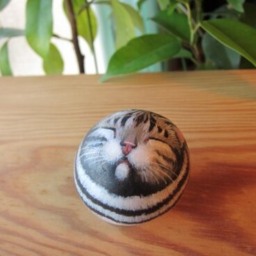 アメショーの石猫(まどろみ)