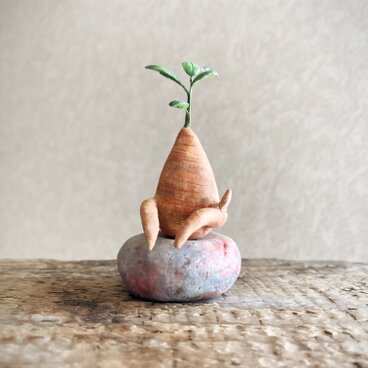 6417.bud ガジュマルと石ころ