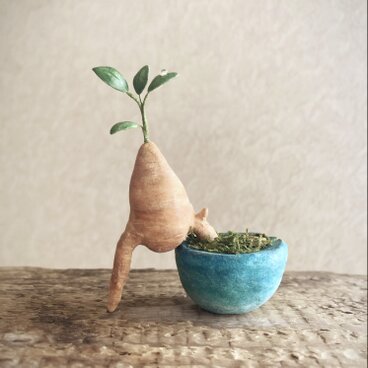 6426.bud ガジュマル 脱走