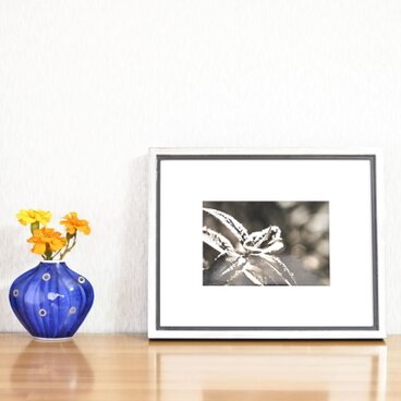 額付『ひかりの深呼吸』　写真　そのまま飾れる　アート　インテリア