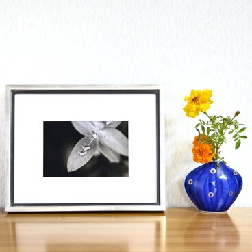 額付『しずくの兄弟』　写真　そのまま飾れる　アート　インテリア