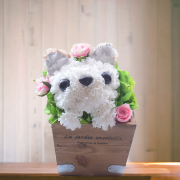 フラワーペット【白チワワ】プリザーブドフラワー トイプードル カーネーション 犬　母の日　お供え 誕生日　花
