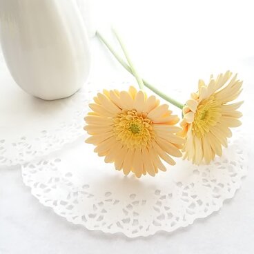 《受注制作》❁薄だいだいのクレイフラワーガーベラ2本セット・インテリアフラワー・一輪挿しに❁