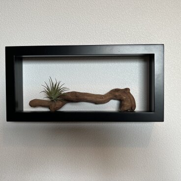 ウォール シェルフ アート フレーム 流木