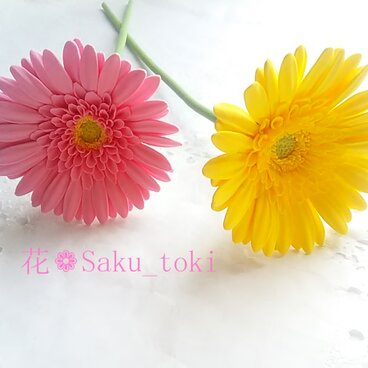 《受注制作》❁黄色とピンククレイフラワーガーベラ2本セット・インテリアフラワー・一輪挿しに❁