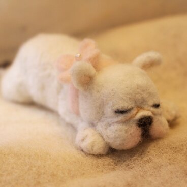 お昼寝フレンチブルドッグ