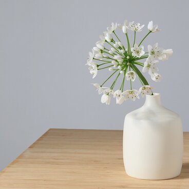 白い磁器の一輪挿し FV27