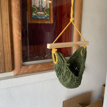 アボガドストッカー「オリーブ」