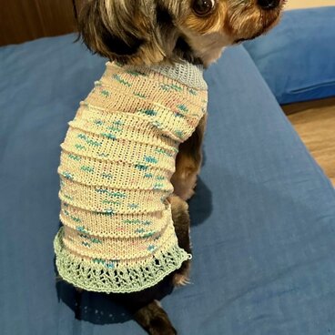 手編み　ドッグウェア　ワンちゃんコットンベスト　2.3kgくらいのわんちゃん用