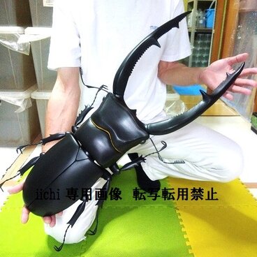 マンディブラリス　MEGA・BIG　リアルフィギュア