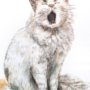 「あくび猫」Tシャツ　似顔絵 猫 ペット　お好きなポーズ・写真で♪　リアル描写　綿　名入れ　プレゼント