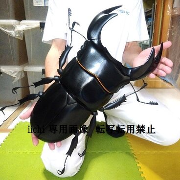 アンタエウスオオクワガタ　MEGA・BIG　リアルフィギュア