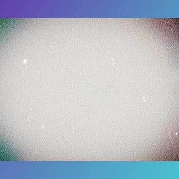 賑やかクリスマスデザイン風デジタル加工フォト4