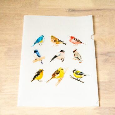 日本の野鳥のファイル