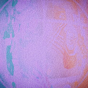 賑やかお正月なイラスト風加工フォト2