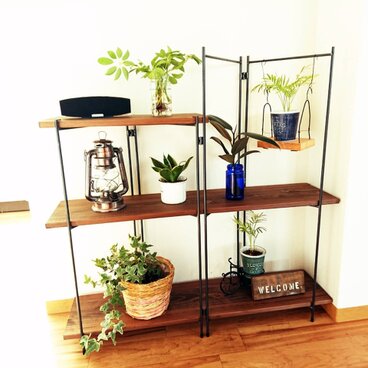 【組み立てらくラック》アイアンラック 折りたたみ収納/フラワースタンド 観葉植物 エアプランツ 植物棚 シェルフ 園芸