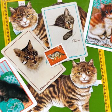 猫 ネコ CATS！コラージュ6点セット【U.S.A.】【England】【Germany】DA-CO101