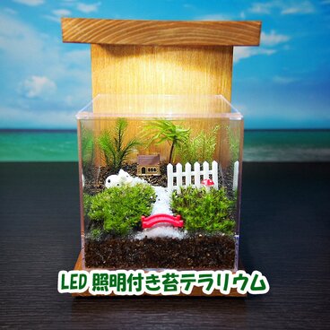 ひのきLED照明付きスタンド【苔テラリウム・手作りキット一式】キューブ型