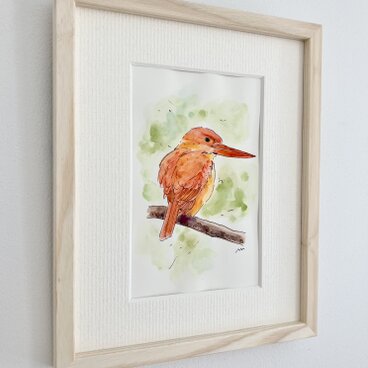 額付きアート「アカショウビン」水彩画 原画