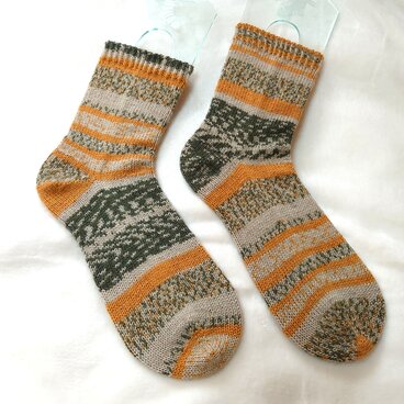 手編み靴下 カメレオンカメラ307