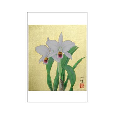 作品絵はがき「原種カトレア パーシバリアーナ」 受注生産