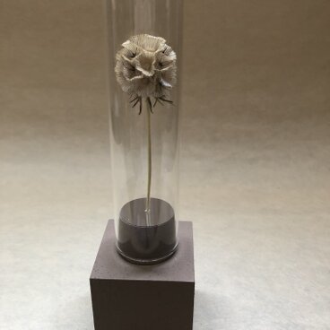 一本の森　dry flower