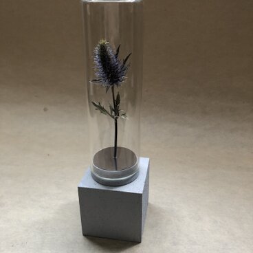 一本の森　dry flower